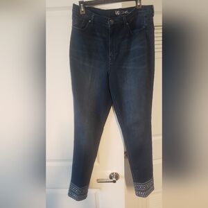 Blue w/silver Embroidered Women's Jeans Size 14T Diane Gilman DG2
